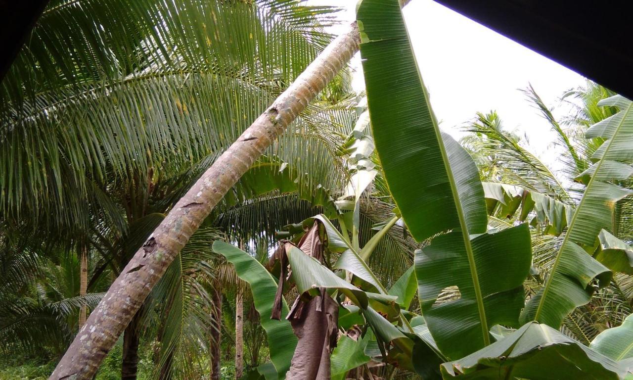 Butterfly House, Libertad, General Luna, Siargao, Filipinas Villa General Luna  Exterior photo